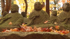 紅葉狩り