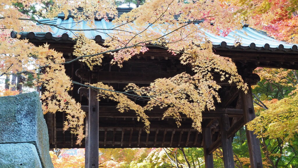 もみじ寺