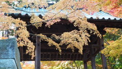 もみじ寺