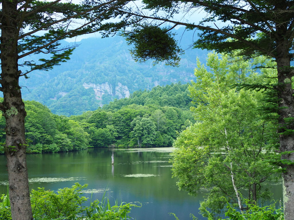 森林公園