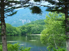 森林公園