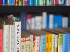 my bookshelf