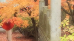 うすくれない