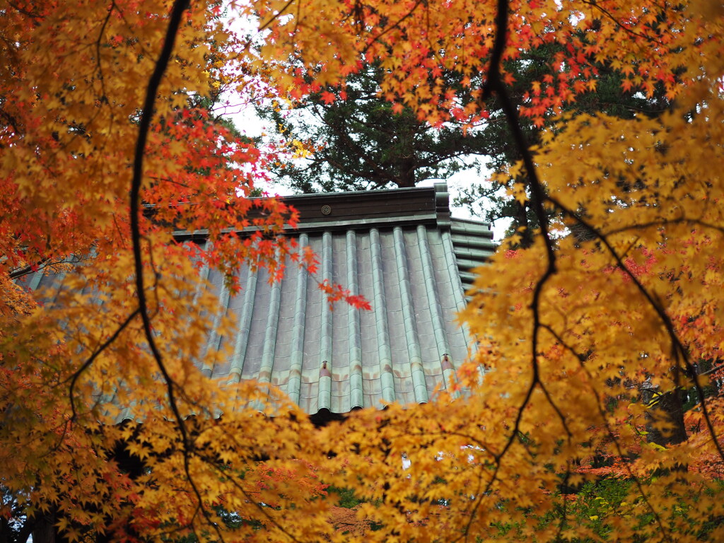 紅葉寺