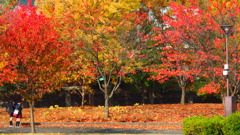 公園