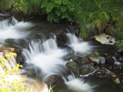 涼を求めて山中に