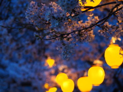 春　公園にて　宵