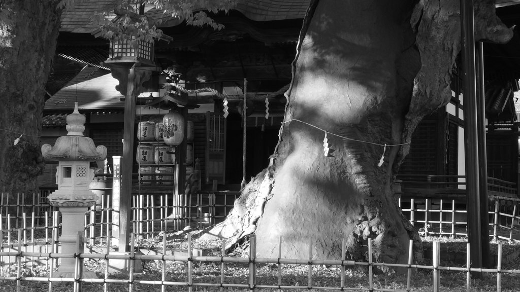 善光寺界隈　ブラほげほげ①