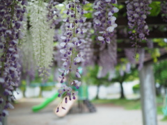 児童公園