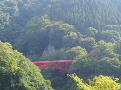 紅葉が待ち遠しい