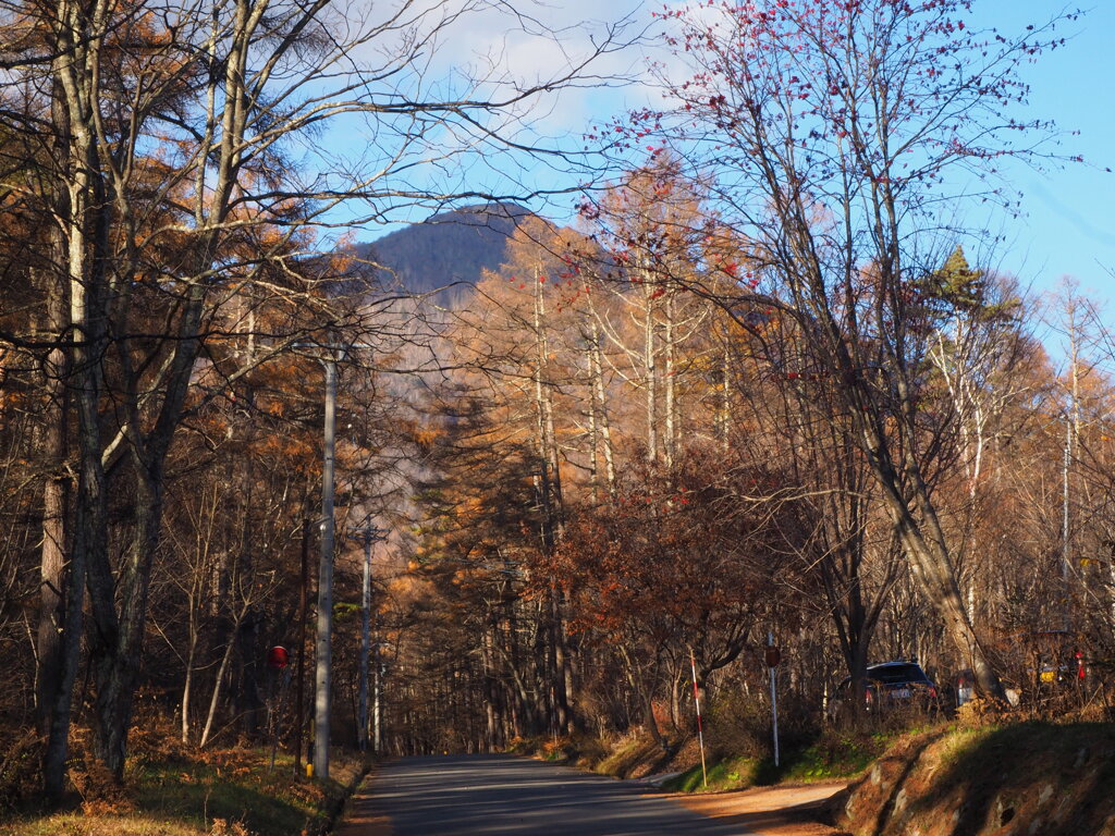 この先は登山道