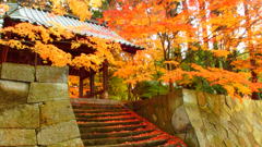 山門