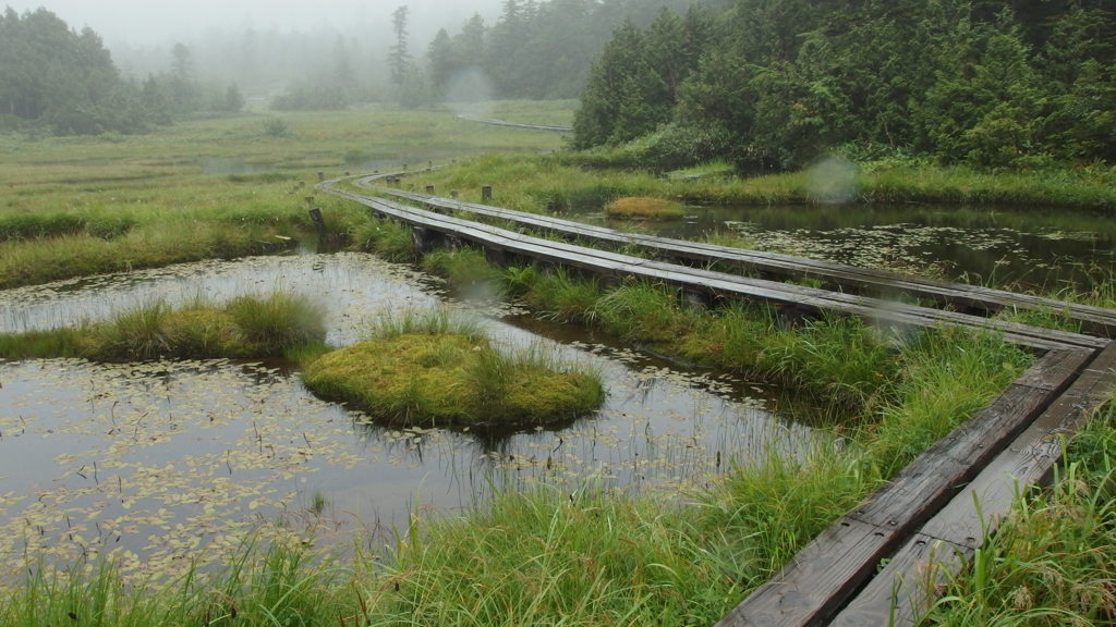 雨の四十八池