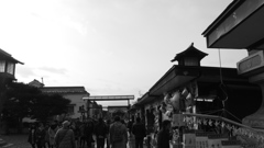 新年　ブラほげほげ２