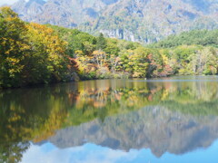 色づき始め 色づき始め