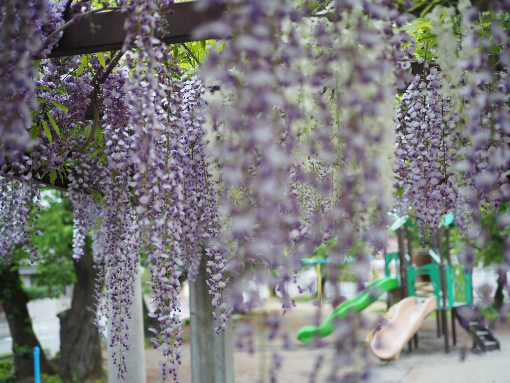児童公園