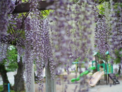 児童公園