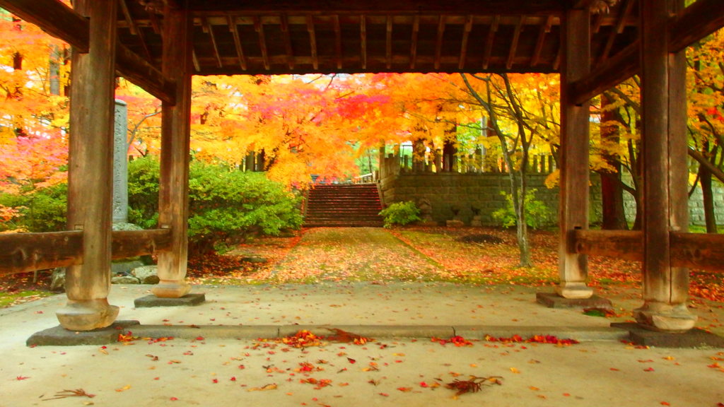 一きわ赤いお寺の紅葉③
