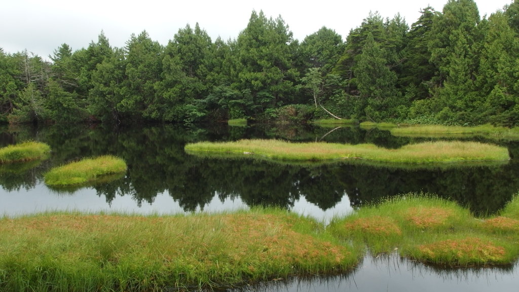 深山の池
