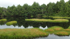 深山の池