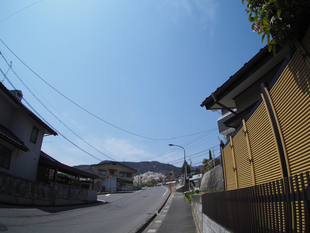 桜の街で