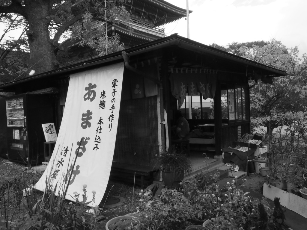 さんぽ