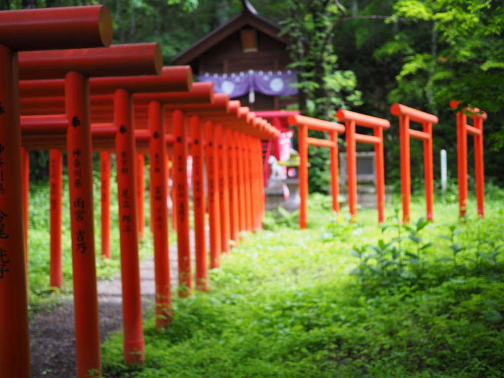深山にて
