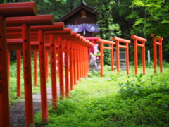 深山にて