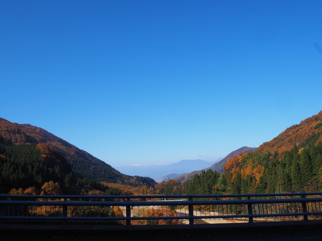 autumn scene