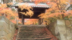 山門
