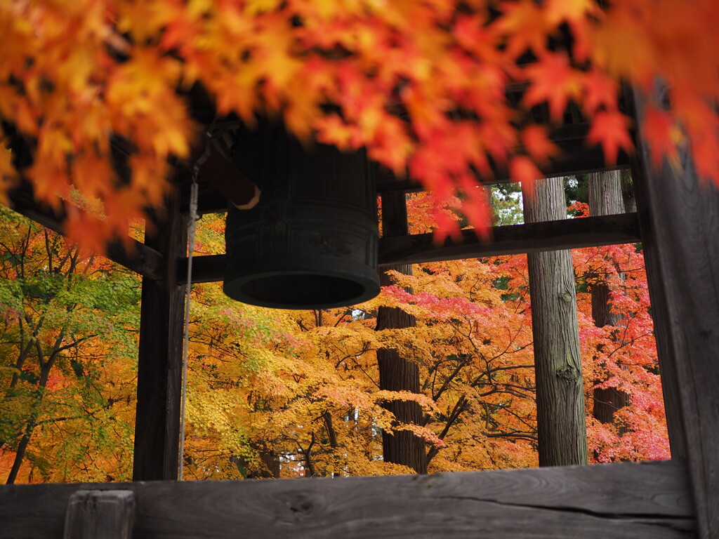 紅葉寺