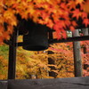 紅葉寺