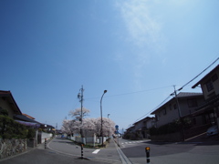 桜の街で