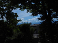 夏の庭から