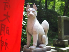 深山にて