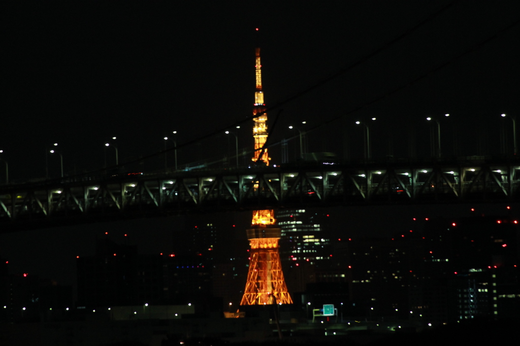 東京タワーと東京湾