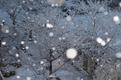 雪の降る街