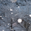 雪の降る街