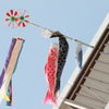 屋根より高い