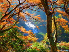 粟又の滝１