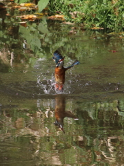 水絡み