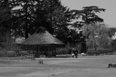 お題　庭園・公園　（城跡）