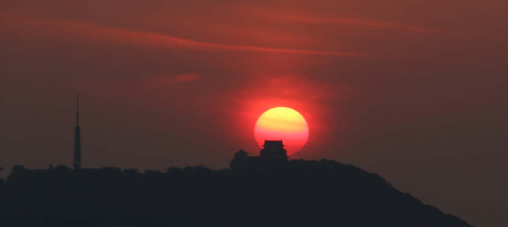 太陽サンサン