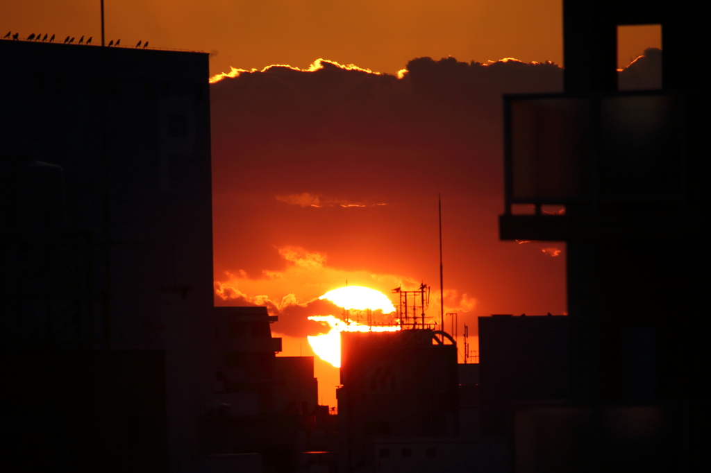 夕陽