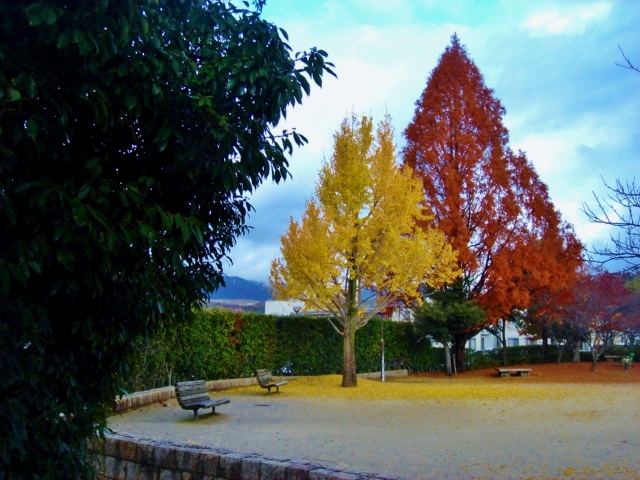 彩