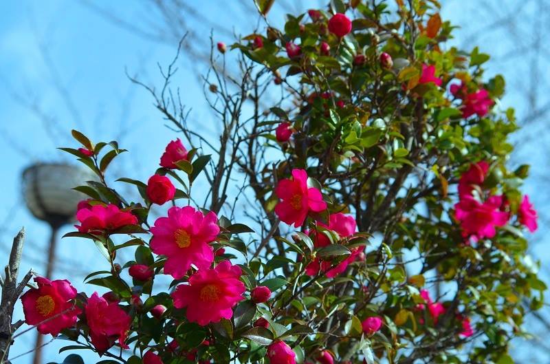 Ｍ公園にて009