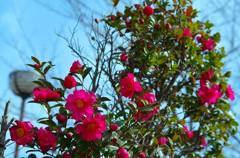 Ｍ公園にて009