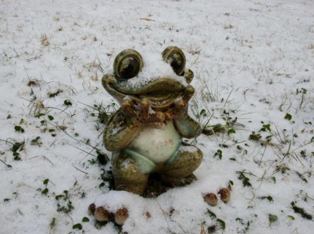 雪