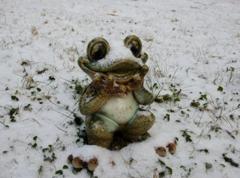 雪