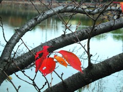 耳原公園にて
